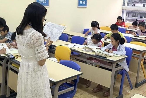 中小学生暑期托管服务来了，家长心里乐开了花